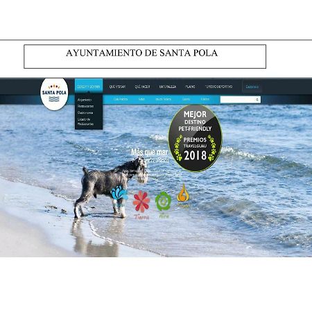Playa 500M Y Centro Pueblo 600M, Piscina, 4 Clim, 2 Parkings Lejlighed Santa Pola Eksteriør billede