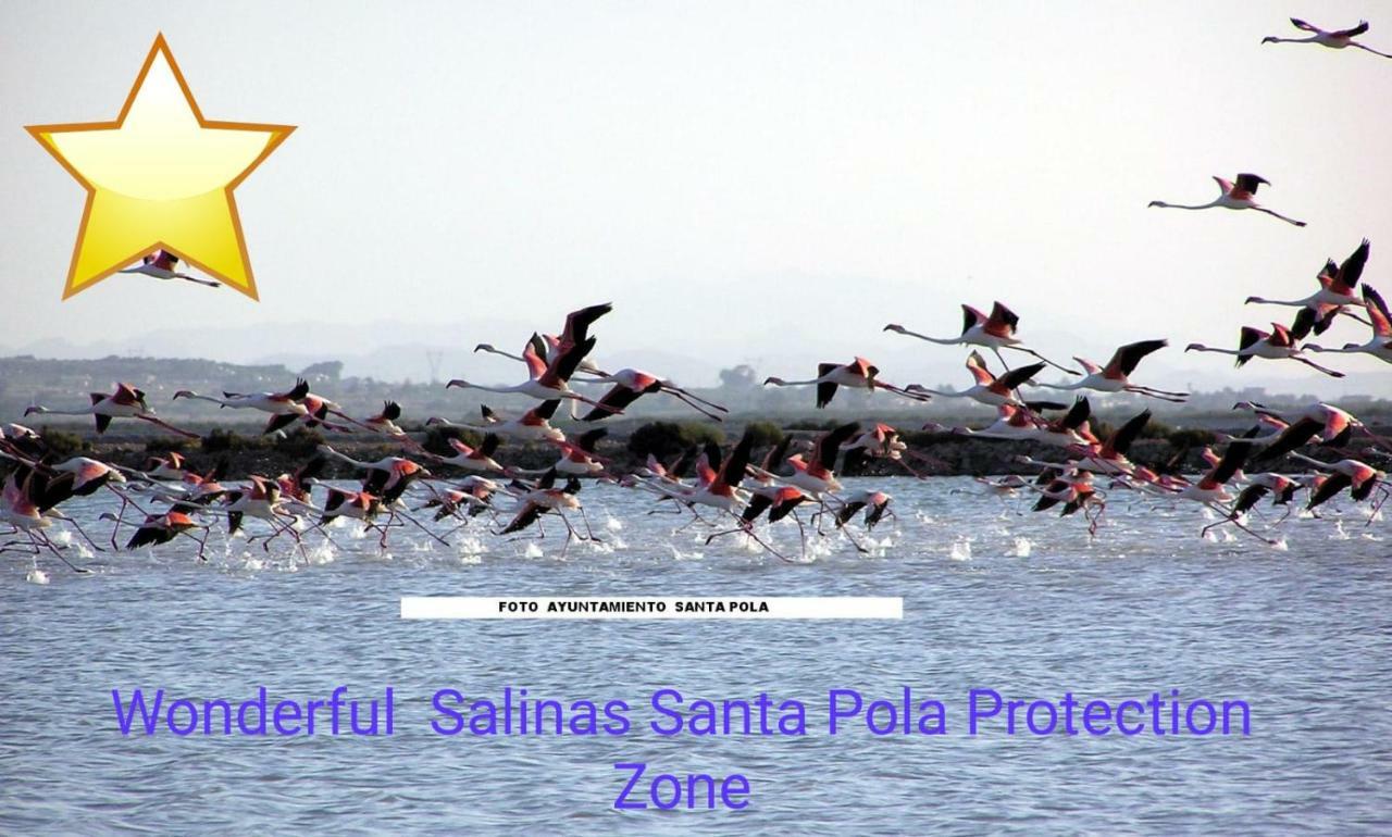 Playa 500M Y Centro Pueblo 600M, Piscina, 4 Clim, 2 Parkings Lejlighed Santa Pola Eksteriør billede